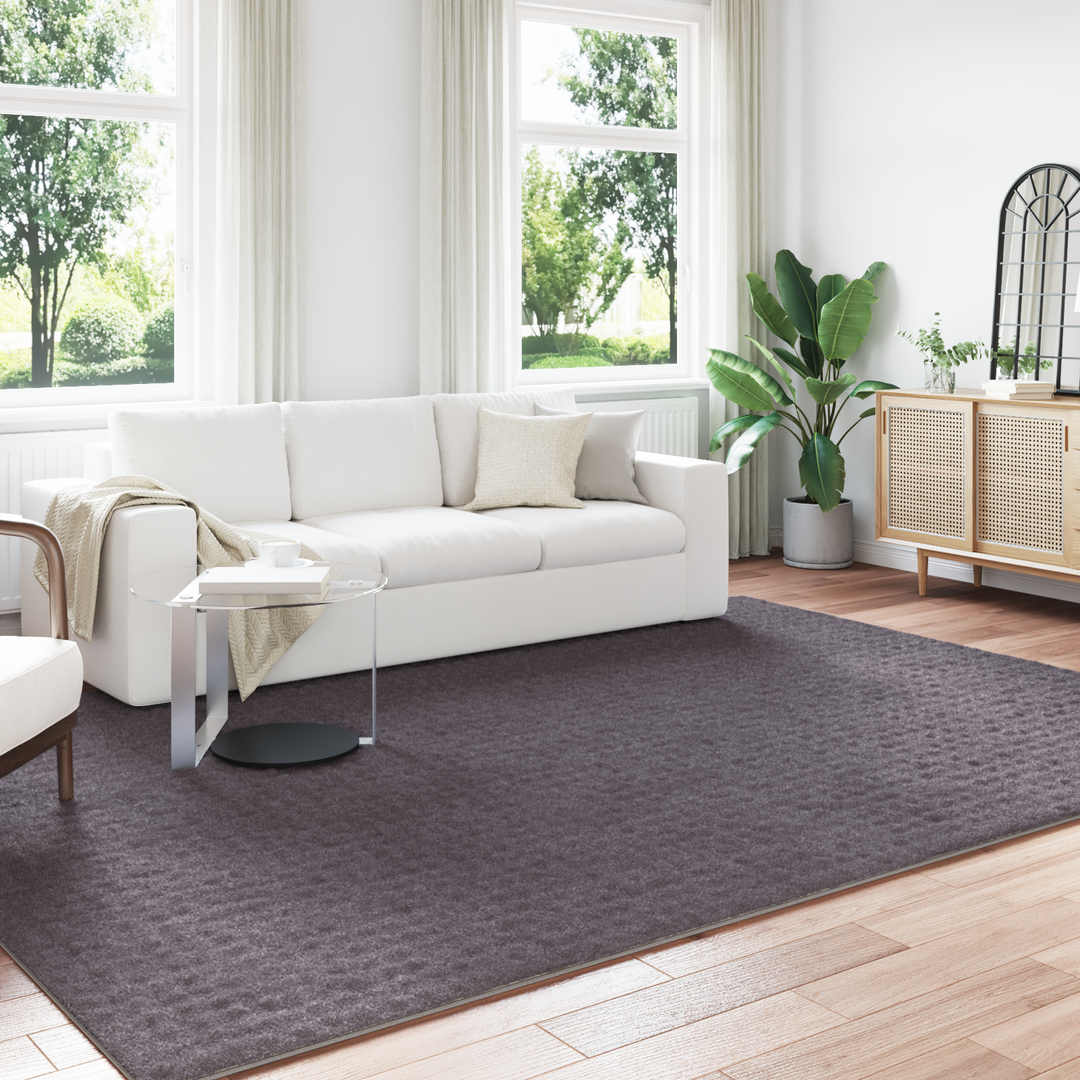 Områdetæpper Rektangulær SIROLO Antracit 340 x 240 cm Polyester