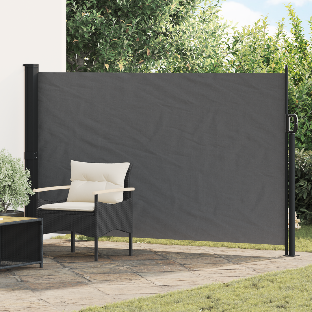 Udtrækkeligt side-markise Antracit 300 x 170 cm Polyester