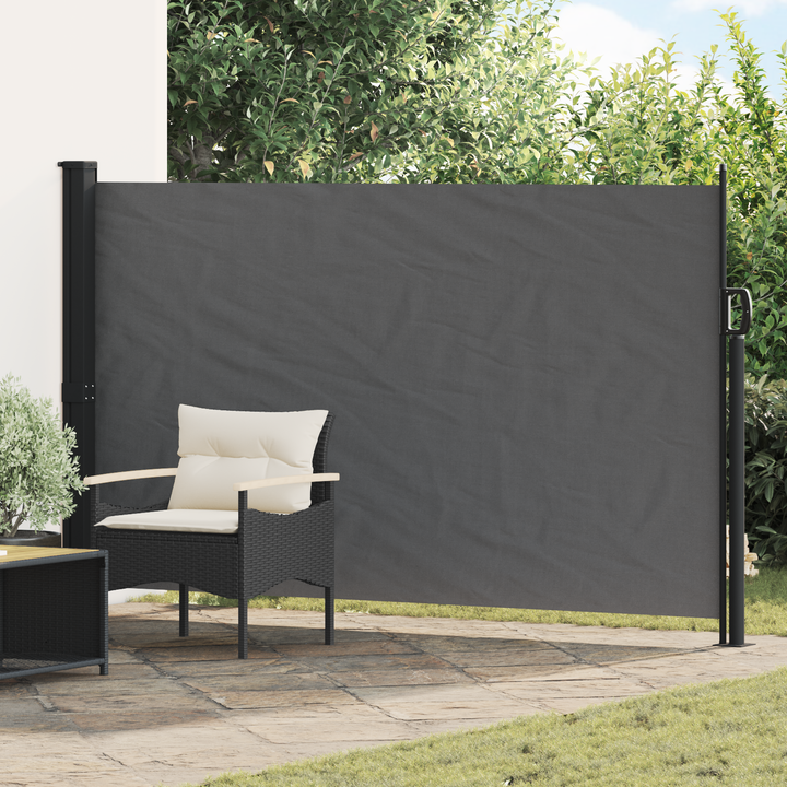 Udtrækkeligt side-markise Antracit 300 x 170 cm Polyester