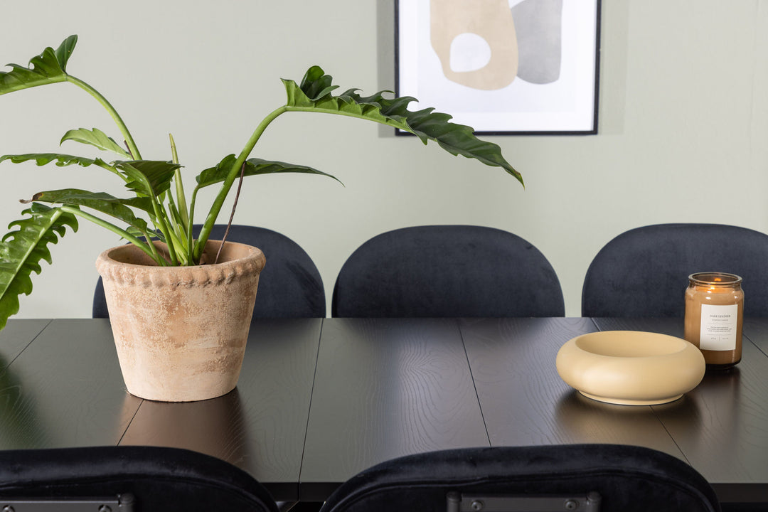 Venture Home Astrid Dining Table 200*75 - Matte black / Matte black MDF with veneer +Stella Dining Chair - Black / Black Velvet _6