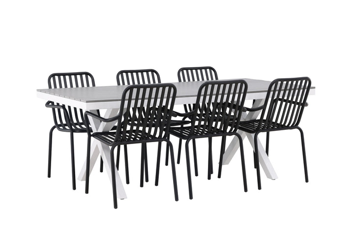 Venture Home Garcia Diningtable Alumnium - White / Light Grey Aintwood / Rectangular 100*200* +Peking Diningchair Aluminium - Black / _6