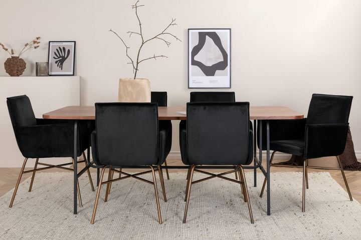 Venture Home Uno Dining Table - Black / Walnut Veneer+Petra Chair - Distressed Copper / Black Velvet_6