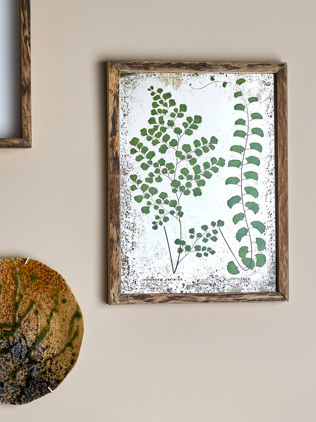 Creative Collection Tipper Illustration med ramme, Grøn, Fyrretræ