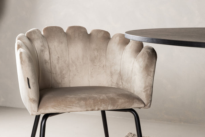 Venture Home Bootcut Oval Dining Table - Black / Black Fanéer +Limhamn Light Chair - Black / Beige Velvet _4