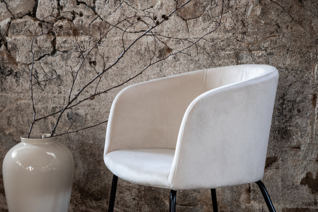 Venture Home Berit Chair - Black / Beige Velvet