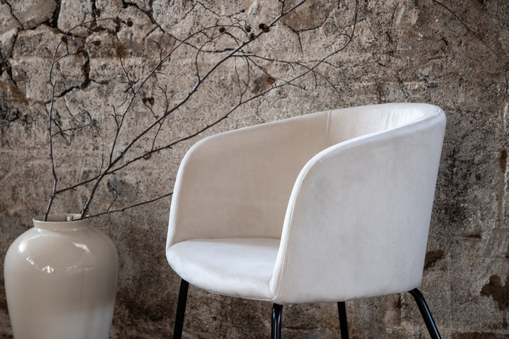 Venture Home Berit Chair - Black / Beige Velvet