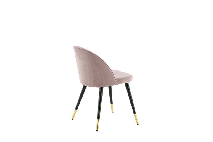 Venture Home Velvet 2-pack Brass Dusty Pink