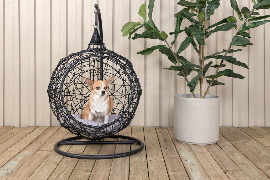 Venture Home Lexi Hanging chair- Black frame/black wicker/grey cushion