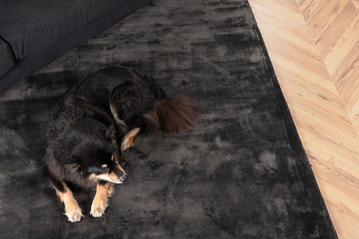 Venture Home Indra Viscose Carpet - 200*300cm - Dark Grey