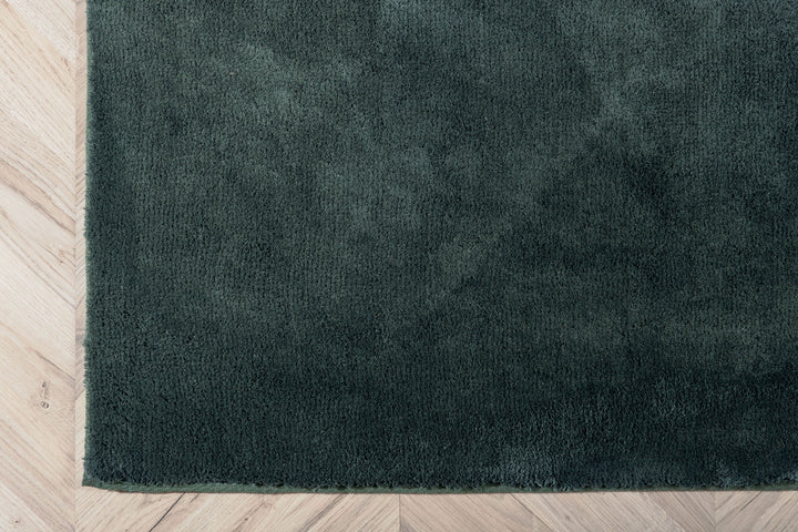 Venture Home Undra Viscose Carpet 200*300 Green