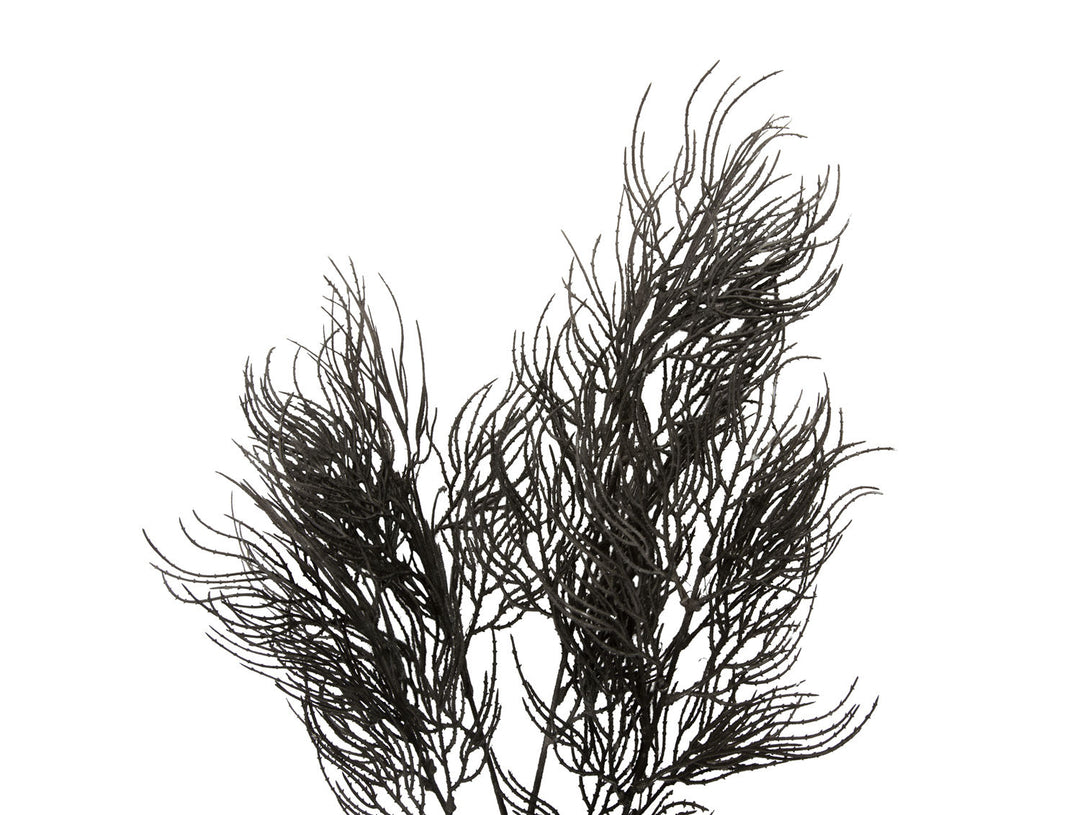 present time Artificial plant Asparagus Fern Stem black