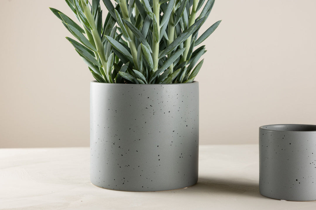 Venture Home Sane Pot - Dark Grey/Black Dots - 18*18*17cm