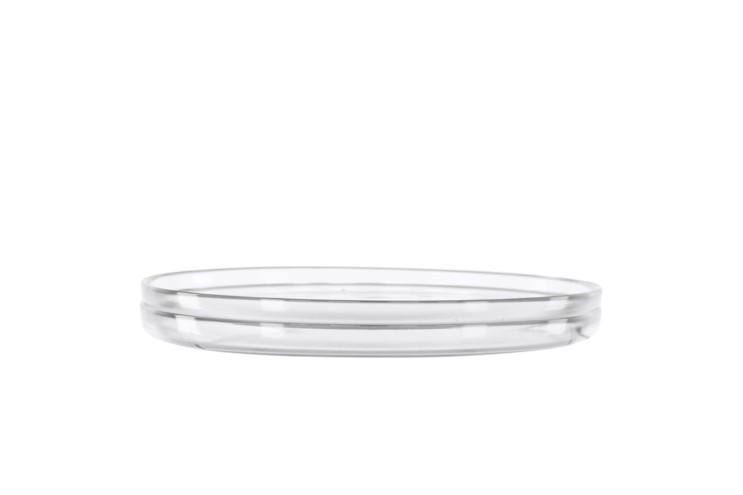 Venture Home Shine Plate 2-pack - Clear Glass - 21*3Hcm