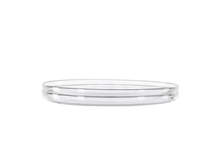 Venture Home Shine Plate 2-pack - Clear Glass - 21*3Hcm