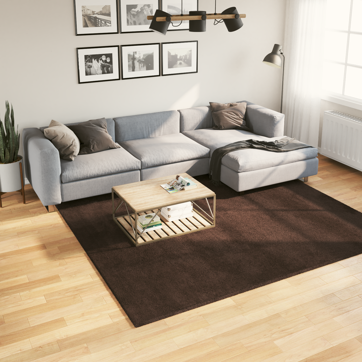 Medium luv blød og vaskbar tæppe HUARTE Brun 240 x 240 cm