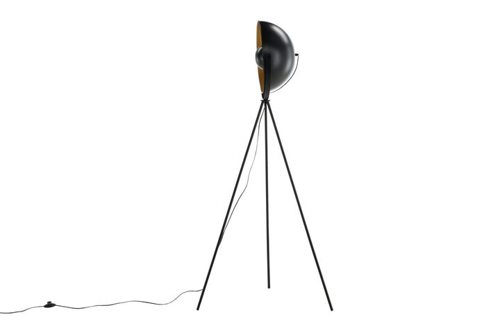 Venture Home Search -Floor Lamp - Black/Black / Brass