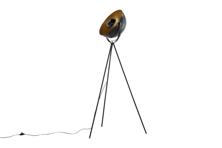 Venture Home Search -Floor Lamp - Black/Black / Brass