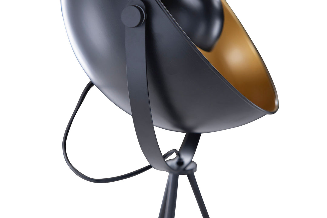 Venture Home Search -Floor Lamp - Black/Black / Brass