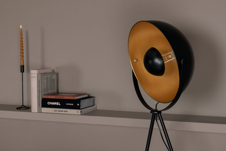 Venture Home Search -Floor Lamp - Black/Black / Brass