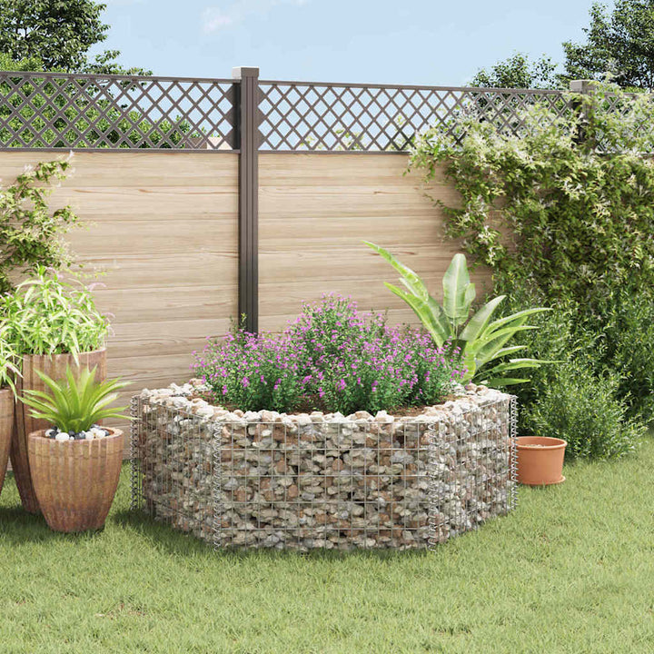 sekskantet gabion-højbed 160x140x50 cm