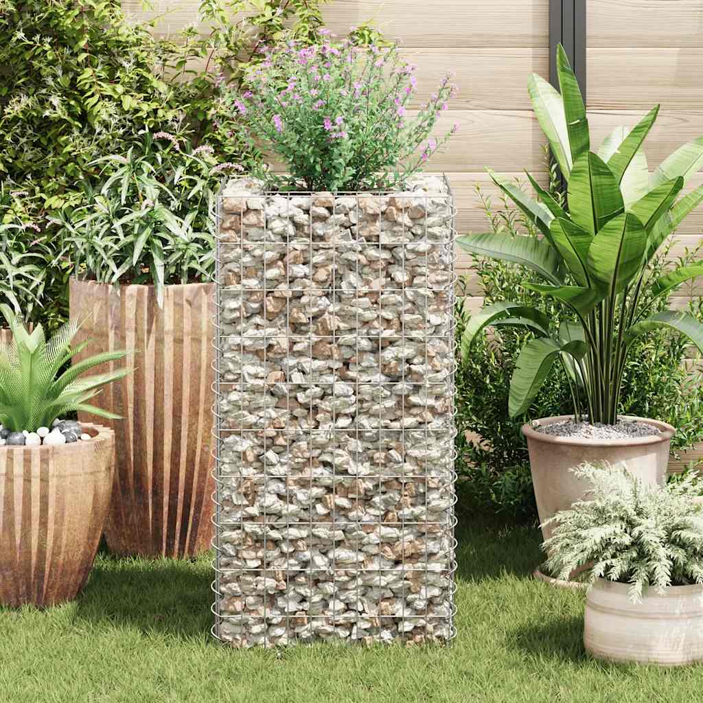 gabion-højbed 50x50x100 cm stål
