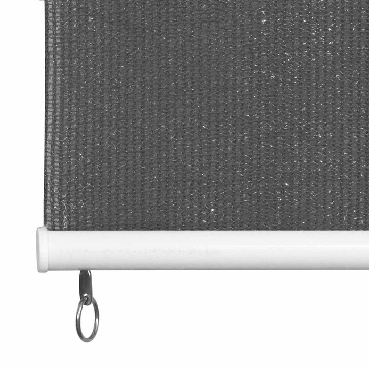udendørs rullegardin 245 (B) x 230 (H) cm antracitgrå