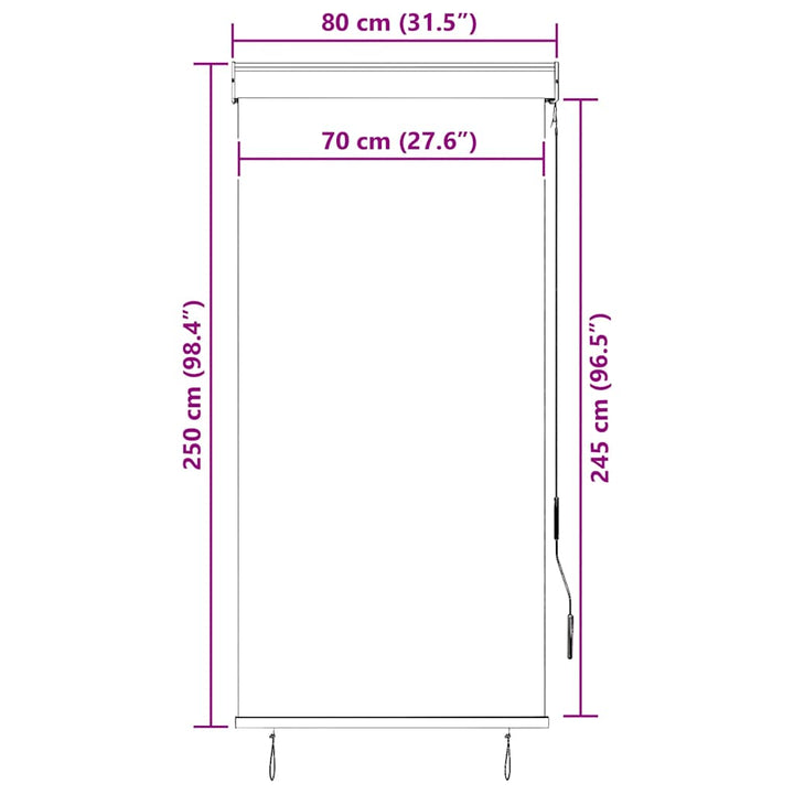 udendørs rullegardin 80x250 cm antracitgrå