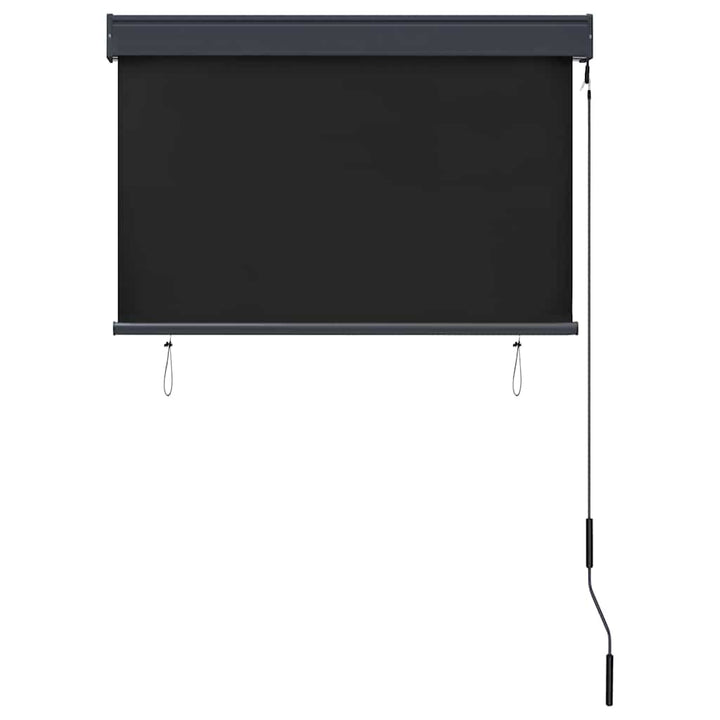 udendørs rullegardin 100x250 cm antracitgrå