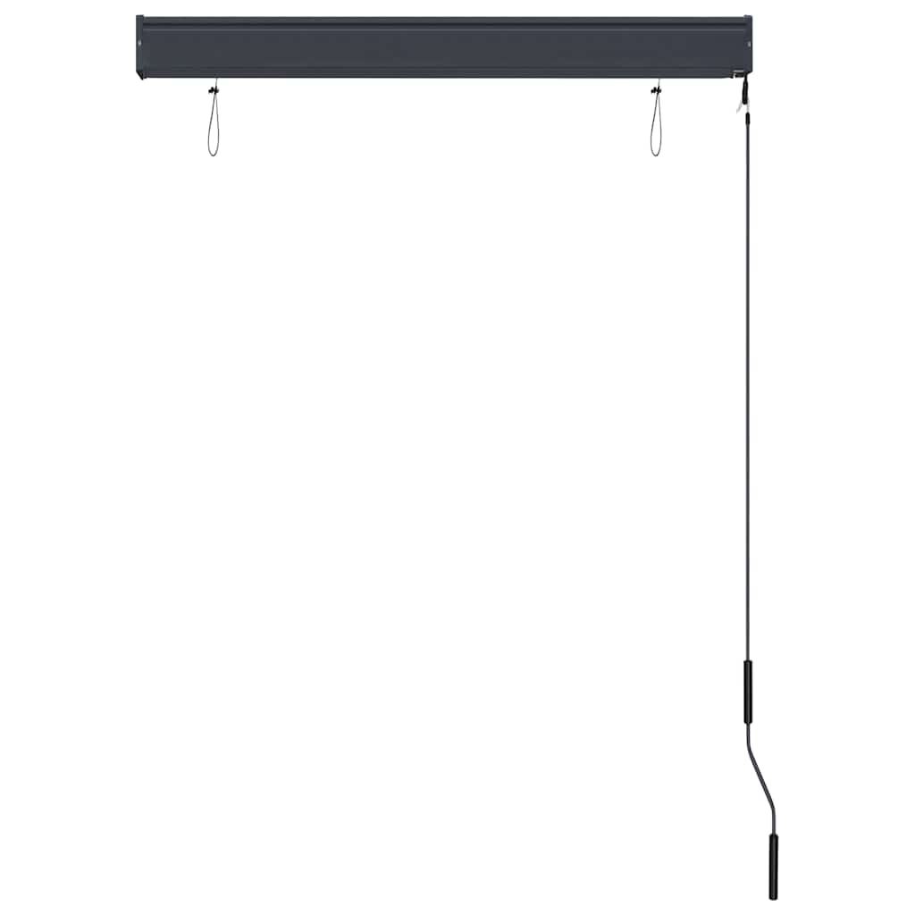 udendørs rullegardin 100x250 cm antracitgrå