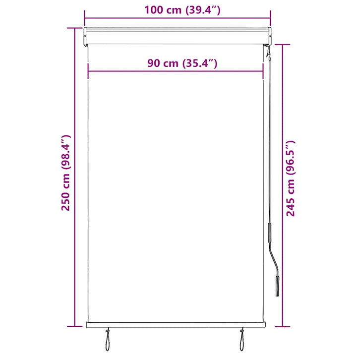 udendørs rullegardin 100x250 cm antracitgrå