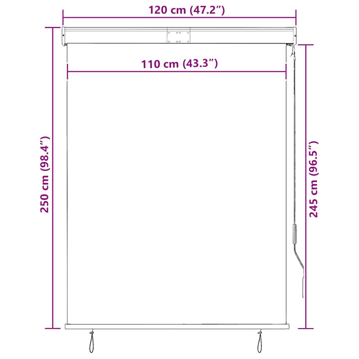 udendørs rullegardin 120x250 cm antracitgrå
