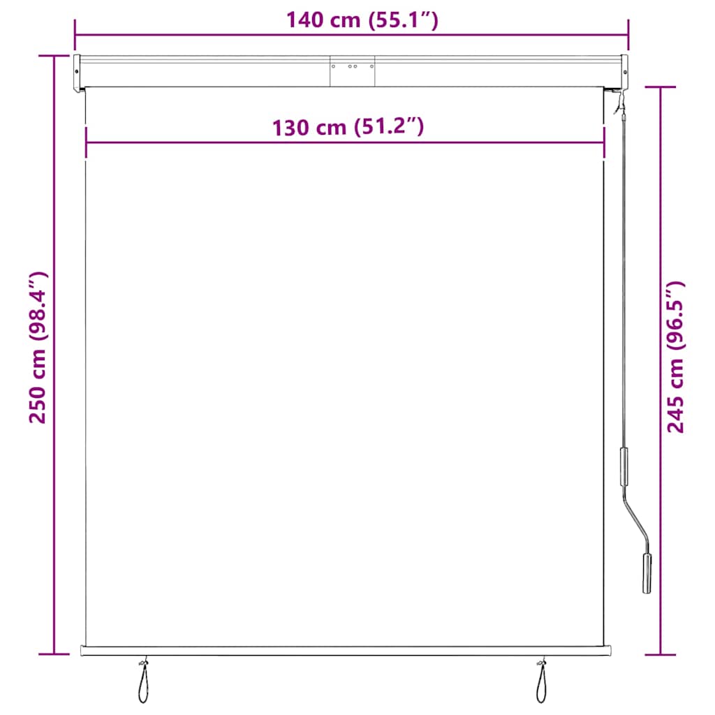udendørs rullegardin 140x250 cm antracitgrå