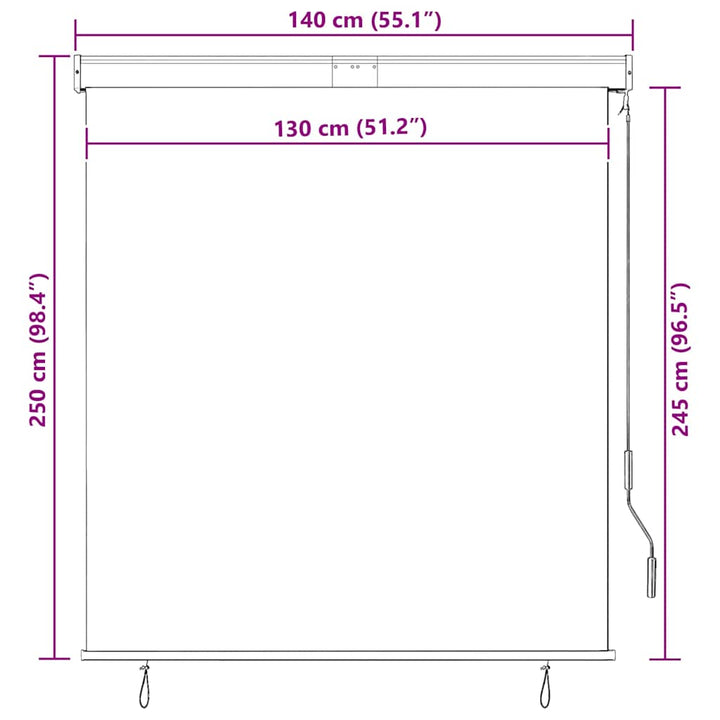 udendørs rullegardin 140x250 cm antracitgrå