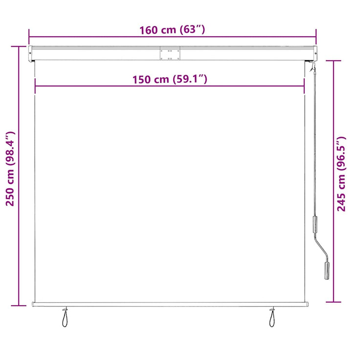 udendørs rullegardin 160x250 cm antracitgrå