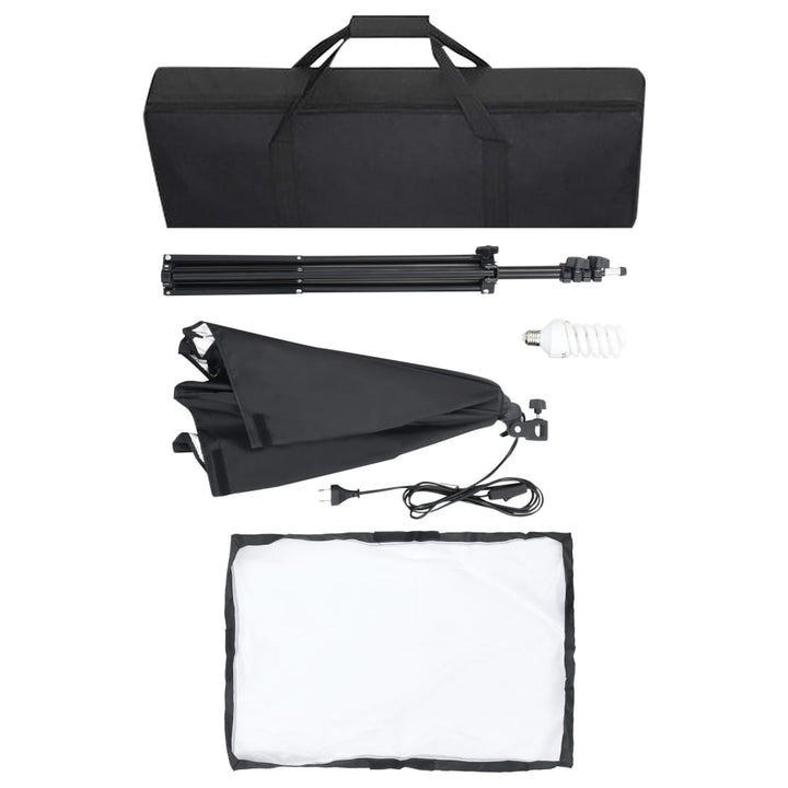 fotostudiesæt med softbox-lamper og baggrund