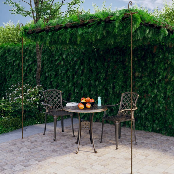 pergola 4x3x2,5 m jern antikbrun