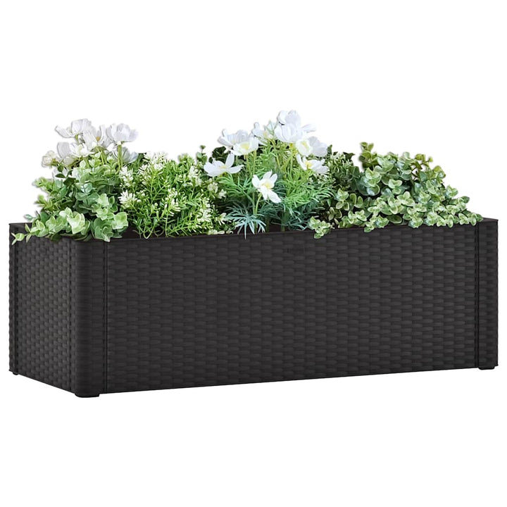 højbed med automatisk vandingssystem 100x43x33 cm antracitgrå