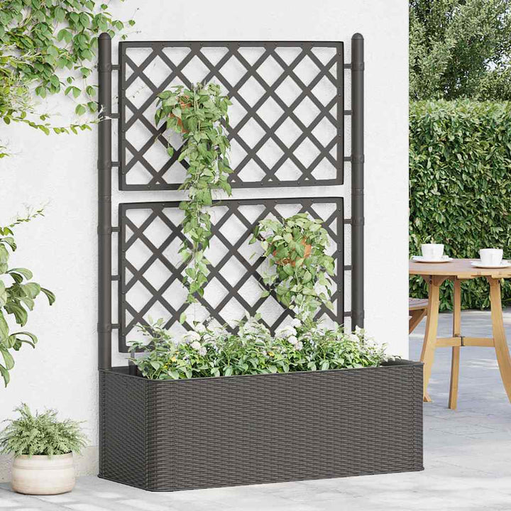 højbed med espalier og automatisk vandingssystem antracitgrå