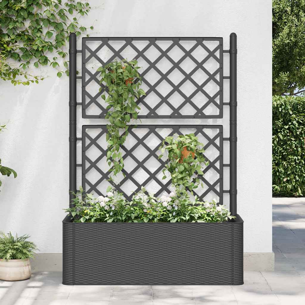 højbed med espalier og automatisk vandingssystem antracitgrå