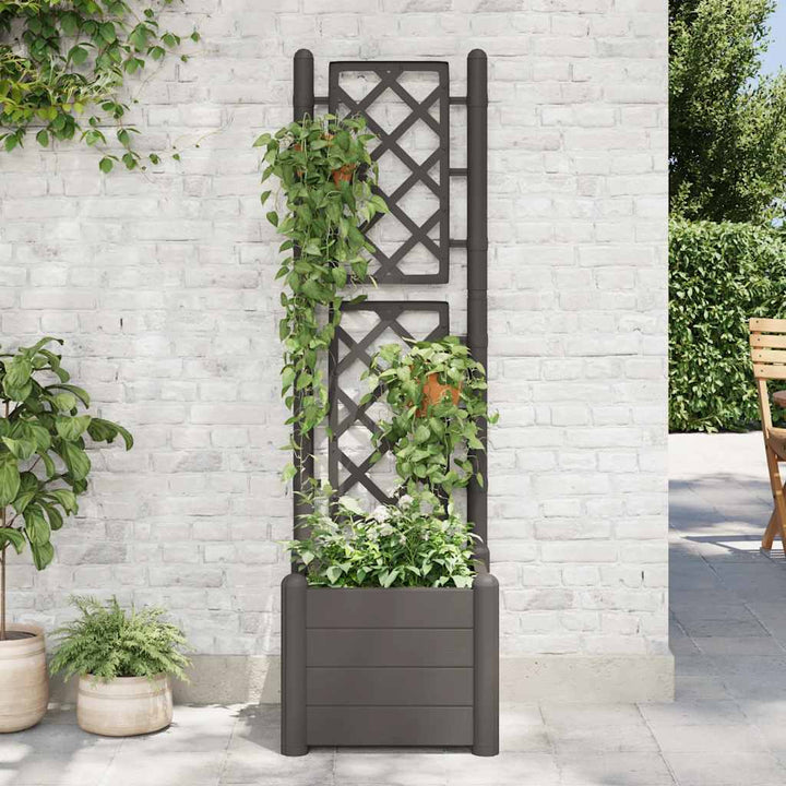 plantekasse med espalier 43x43x142 cm PP antracitgrå