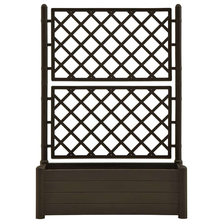 plantekasse med espalier 100x43x142 cm PP mokkafarvet
