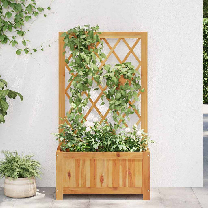 forhøjet plantekasse med espalier massivt akacietræ