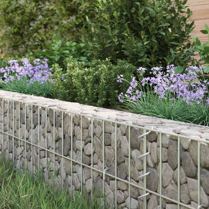 gabion-højbed 800x100x20 cm galvaniseret stål