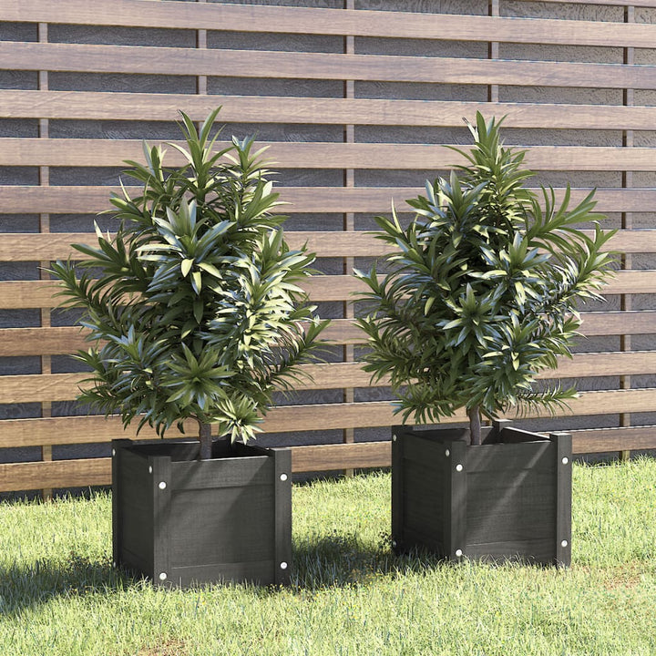 plantekasser 2 stk. 31x31x31 cm massivt fyrretræ grå