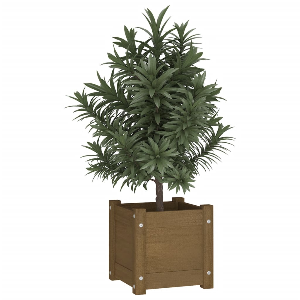 plantekasse 31x31x31 cm massivt fyrretræ gyldenbrun