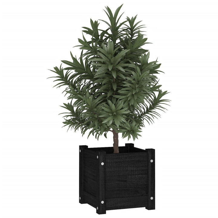 plantekasser 2 stk. 31x31x31 cm massivt fyrretræ sort