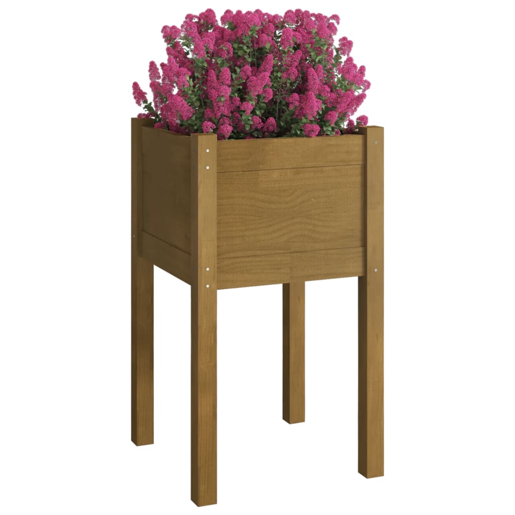 plantekasser 2 stk. 40x40x70 cm massivt fyrretræ gyldenbrun