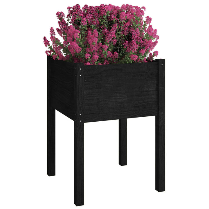 plantekasser 2 stk. 50x50x70 cm massivt fyrretræ sort