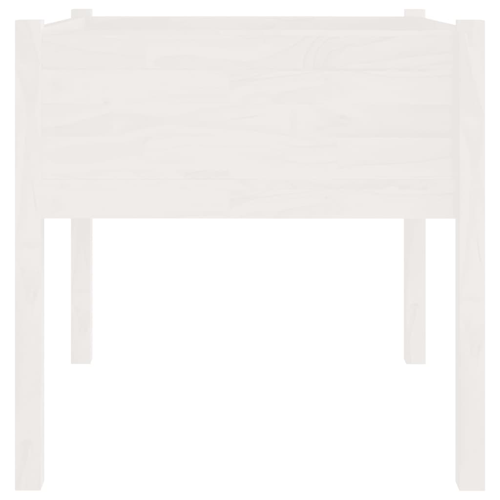 plantekasse 70x70x70 cm massivt fyrretræ hvid