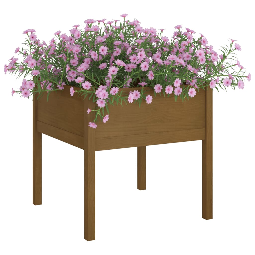 plantekasser 2 stk. 70x70x70 cm massivt fyrretræ gyldenbrun